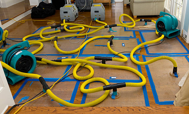 Professional Structural Drying And Dehumidification technician working in Burton, TX